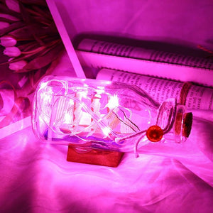 Fairy String Bottle Lights Mini String Lights Sailing Boat Drift Bottle LED Night Lamp Holiday Party Wedding Decoration